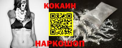 стаф Гай